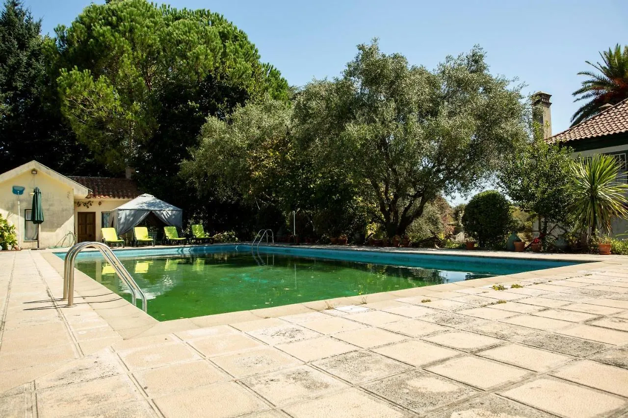 Casa De Sao Caetano De Viseu Bed & Breakfast